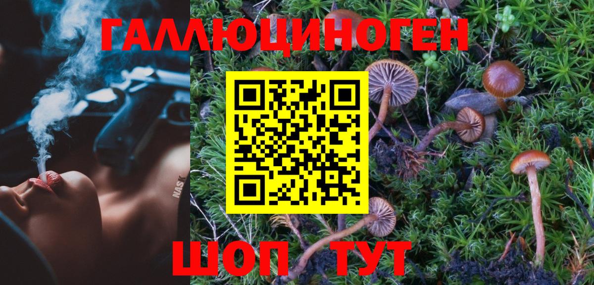 Марихуана  Нововоронеж  Гашиш  Героин  Меф МЯУ МЯУ   Купить наркотик  Вход с VPN 