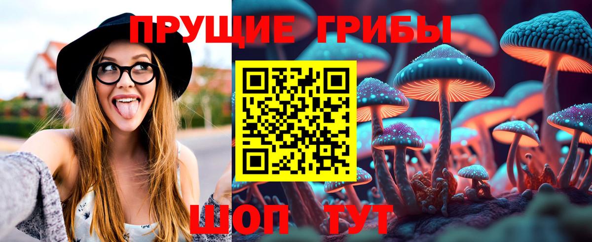 Галлюциногенные грибы Cubensis  Галлюциногенные грибы мицелий  Вход с VPN  Нововоронеж 